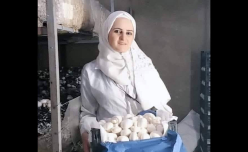 من ربة منزل إلى رائدة أعمال: قصة نجاح سورية في زراعة الفطر المستدامة