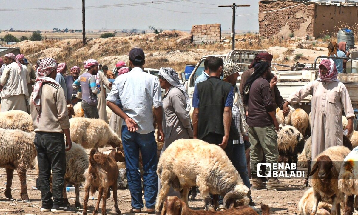 سوريا تسمح بتصدير المواشي: هل يعزز الاقتصاد أم يضر السوق المحلي؟