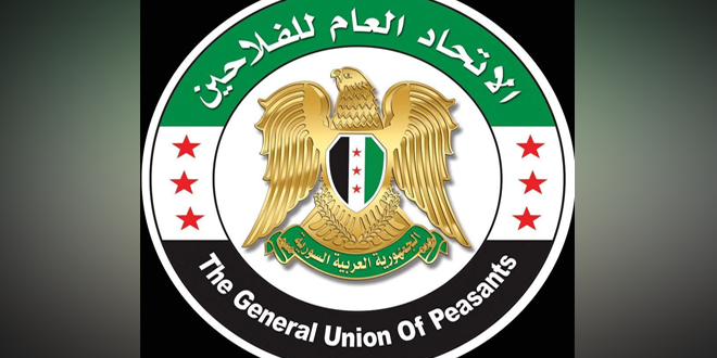 الفلاحون السوريون يتحملون المسؤولية الوطنية: دعم حكومي للقمح رغم التحديات الاقتصادية