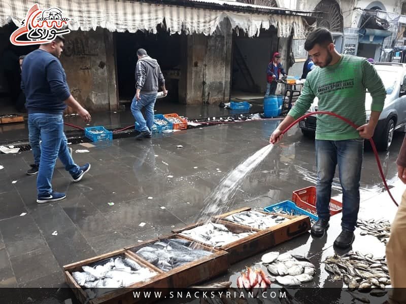 كارثة في اللاذقية: وفاة طفل بتسمم سمكة البالون.. ما هي المخاطر وكيف نحمي أنفسنا؟