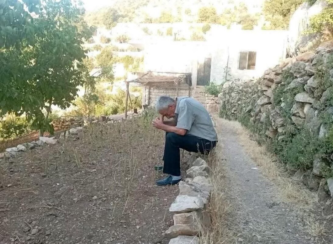 فاجعة تهز اللاذقية: مقتل شقيقين يجمعان أوراق الغار بحثاً عن الرزق