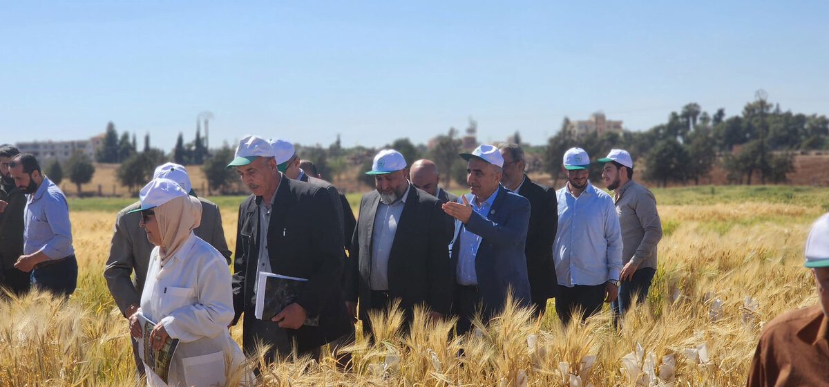 وزير الزراعة السوري يتفقد محطة أزرع البحثية: جهود لتطوير الزراعة وتحقيق الأمن الغذائي بالتعاون مع أكساد