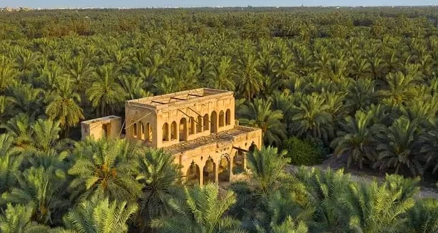 الأحساء: واحة النخيل السعودية.. قصة حياة وإرث عالمي في قلب الصحراء