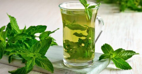 النعناع بعد الأكل: فوائد صحية مذهلة وتأثيره على الجهاز الهضمي