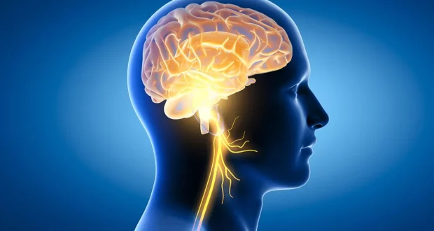 احذرها! أسوأ 7 أطعمة تدمر صحة دماغك وتضعف الذاكرة