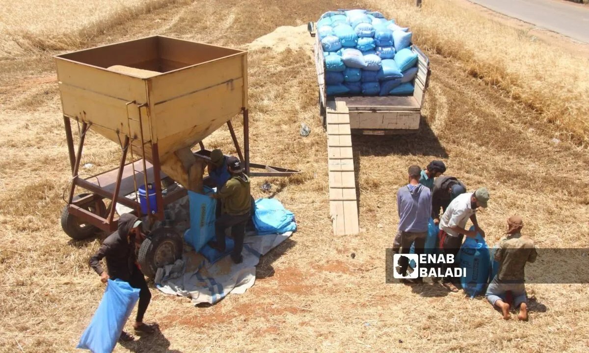 سوريا على حافة أزمة خبز: إنتاج القمح المحلي يغطي 19% فقط من الاحتياجات