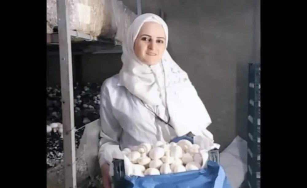من ربة منزل إلى رائدة أعمال: قصة نجاح سورية في زراعة الفطر المستدامة