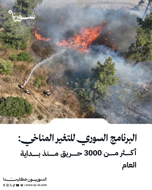 سوريا تحترق: أكثر من 3000 حريق يلتهم الغابات والأراضي الزراعية منذ بداية العام