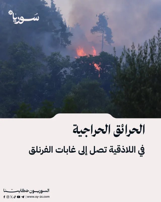 نيران تلتهم غابات الفرنلق في اللاذقية وتوسع رقعة الحرائق