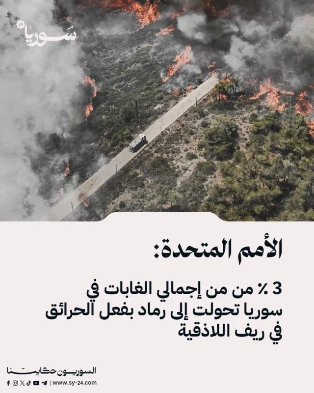 الأمم المتحدة: حرائق ريف اللاذقية تحيل 3% من غابات سوريا إلى رماد وتُلحق أضراراً جسيمة