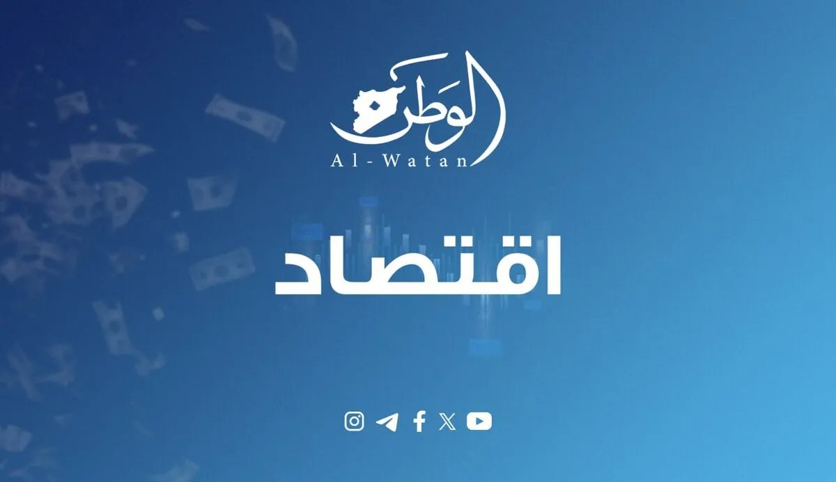 غموض في تعليمات زيادة الرواتب: أكاديميون ينتقدون الحاجة إلى "تعليمات تنفيذية للتعليمات التنفيذية"