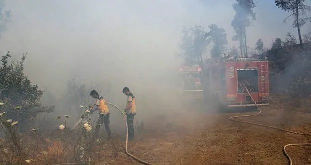الاتحاد الأوروبي يفعّل نظام كوبرنيكوس لمساعدة سوريا في مكافحة حرائق اللاذقية