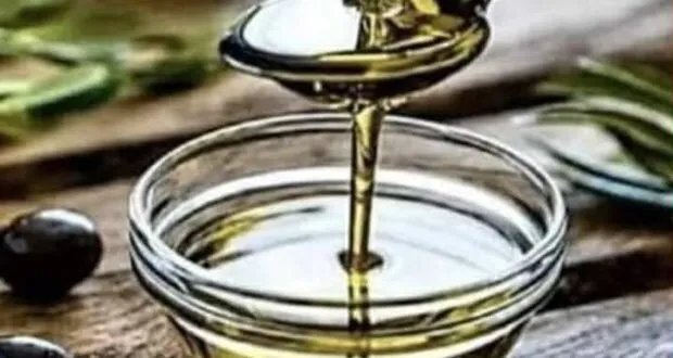 الجفاف يهدد موسم الزيتون في طرطوس: الفلاحون يتخوفون من قلة الإنتاج وارتفاع الأسعار