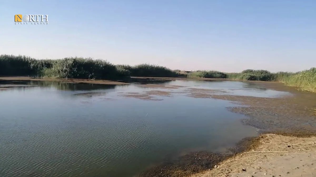 مأساة في دير الزور: مصرع طفلين غرقاً وارتفاع حصيلة الضحايا إلى ستة