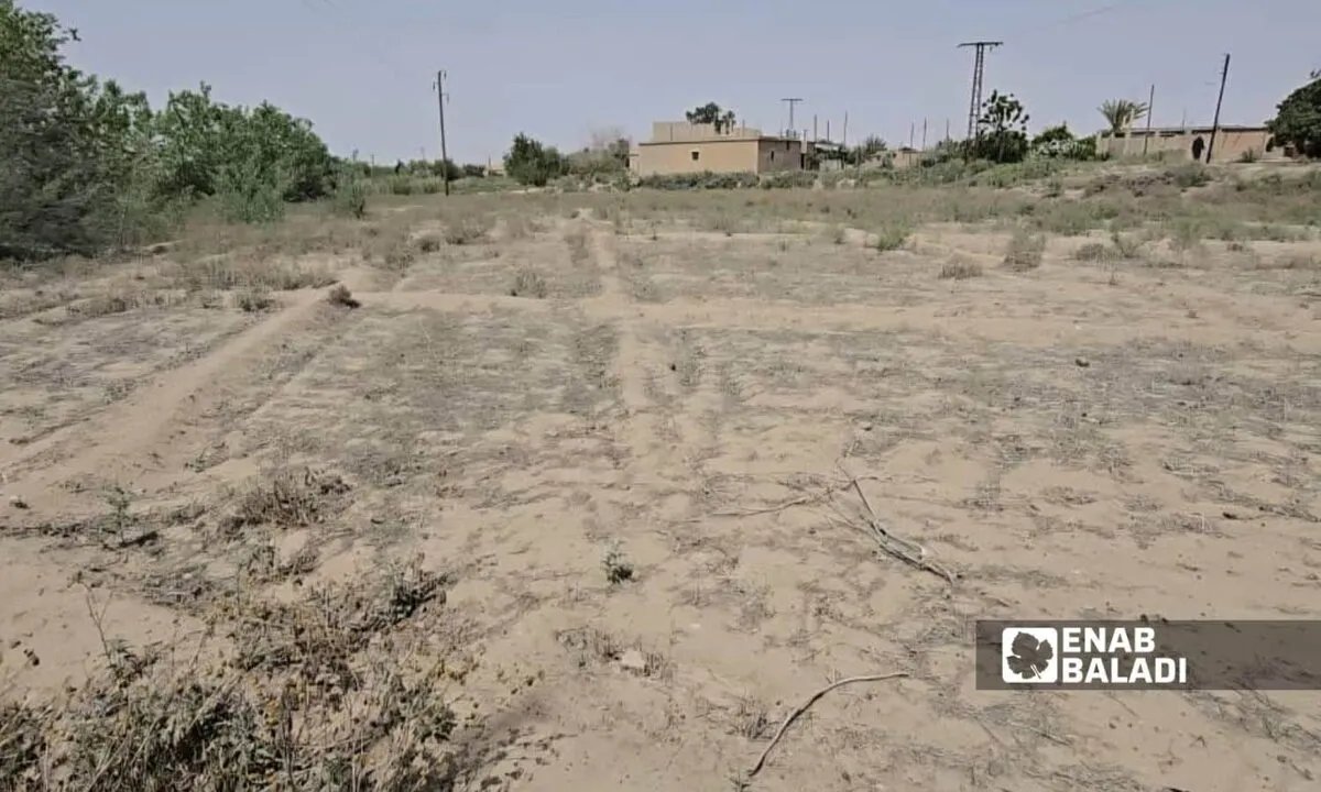 تفاقم التصحر في دير الزور يهدد الأمن الغذائي ويخرج 70 ألف دونم عن الإنتاج