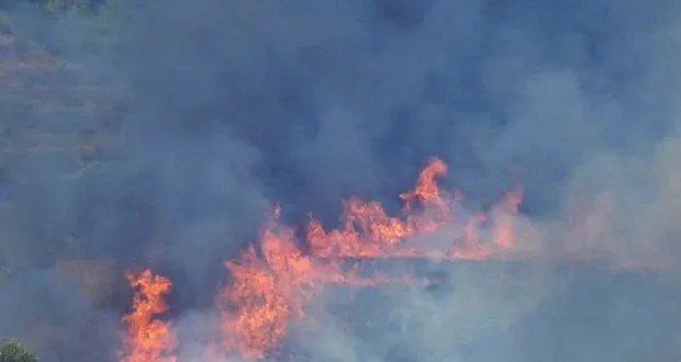 حريق هائل يلتهم غابات ريف حمص الغربي وجهود مكثفة للسيطرة عليه