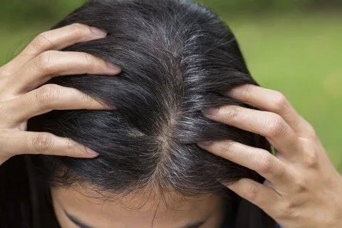 الشيب المبكر في الصيف: أسبابه، تأثيراته، وكيفية حماية شعرك