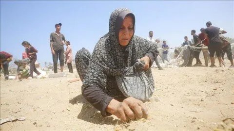 ارتفاع مأساوي: التجويع الإسرائيلي يودي بحياة 370 شهيدًا في غزة، بينهم 131 طفلاً