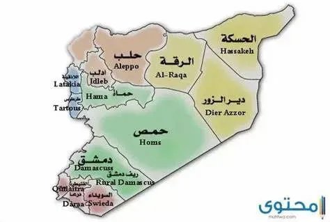 بين العمالة والغباء: تقييم لإرث بشار الأسد في سوريا