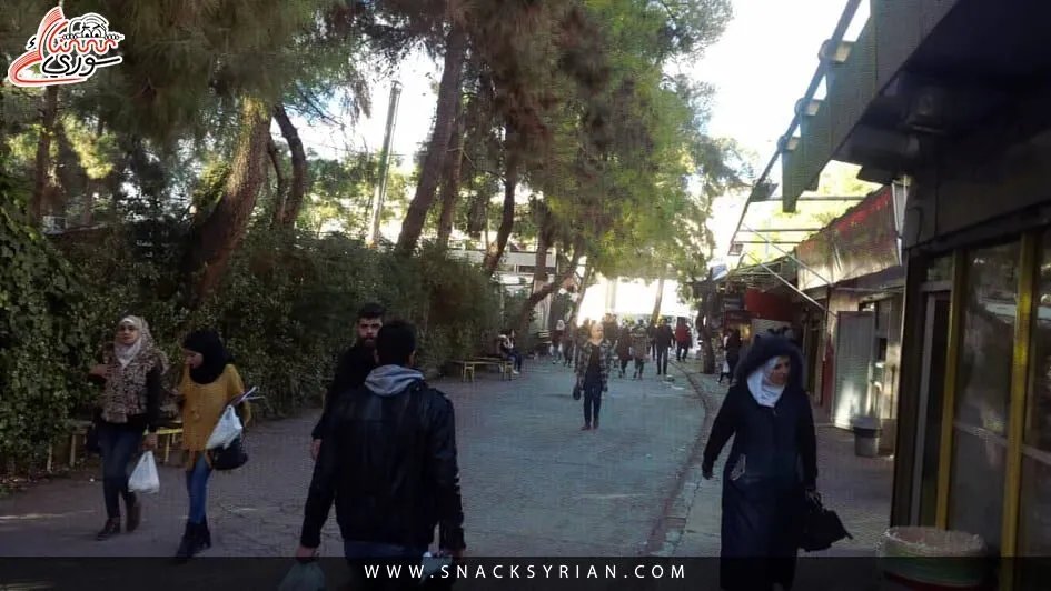 المدينة الجامعية بدمشق تنفي تحويل السكن إلى استثمار خاص وتوضح سبب إخلاء الطالبات مؤقتاً