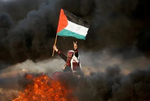 نيويورك: مؤتمر حل الدولتين يشهد دعماً عربياً ودولياً لفلسطين ومطالبات بوقف العدوان على غزة