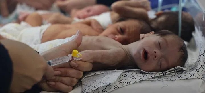 اليونيسف تطالب بإجلاء عاجل لـ 25 رضيعاً من حضانات غزة المحاصرة