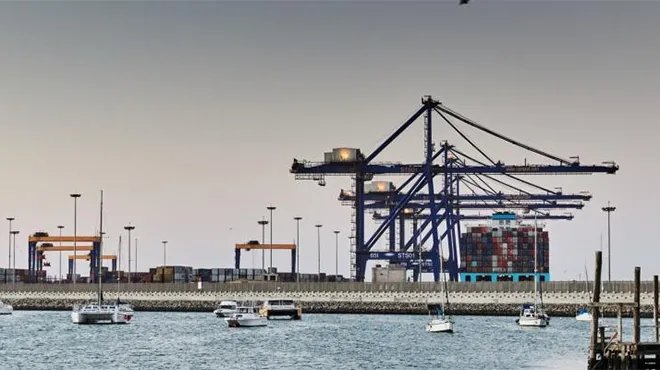 عمال إيطاليون يجبرون سفينة إسرائيلية على مغادرة ميناء ليفورنو تضامناً مع غزة