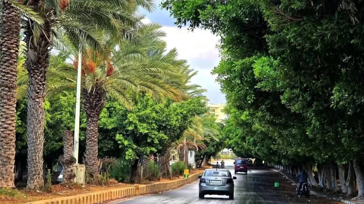 منخفض جوي ماطر يضرب سوريا الأسبوع المقبل مع انخفاض ملحوظ في درجات الحرارة