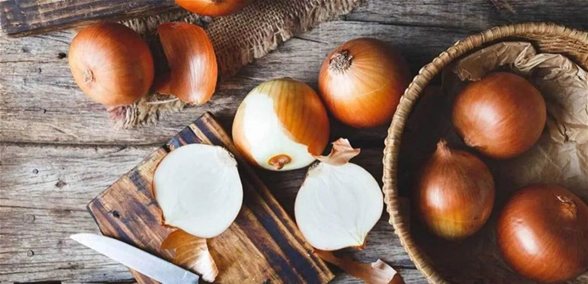 اكتشف الفوائد الصحية المذهلة للبصل: كنز غذائي لا يقدر بثمن