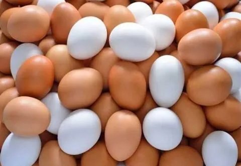 البيض الأبيض أم البني: حقائق غذائية وأيهما الأفضل لصحتك؟