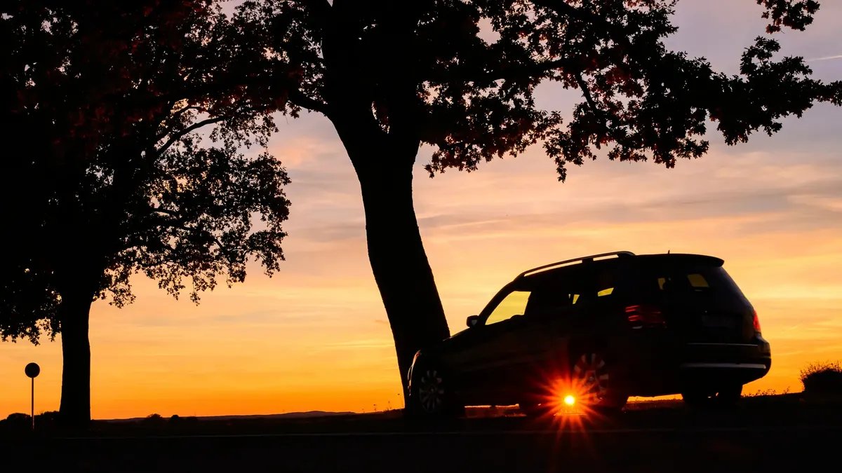 ألمانيا: انخفاض ملحوظ في وفيات حوادث اصطدام السيارات بالأشجار مع بقاء الخطر قائماً