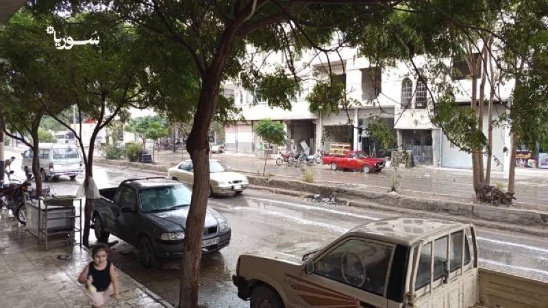 تزايد شكاوى سكان ضواحي دمشق من انتشار الكلاب الشاردة وتفاقم حوادث الهجوم