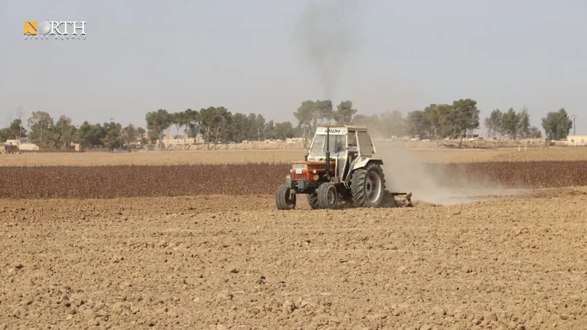 الحسكة: انطلاق موسم رش بذور القمح المروي في الأرياف
