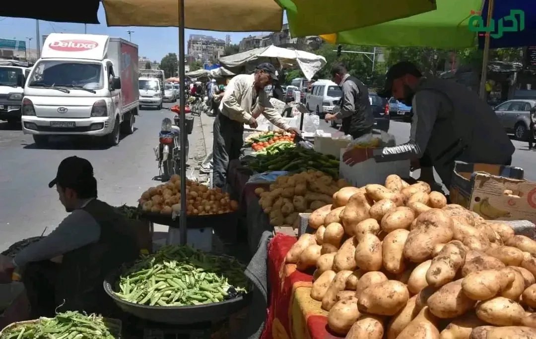 صادرات الخضار والفواكه السورية تزدهر في أسواق الخليج رغم التحديات