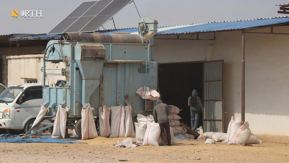 الحسكة: الجفاف يهدد الموسم الزراعي وارتفاع أسعار البذور يفاقم معاناة المزارعين