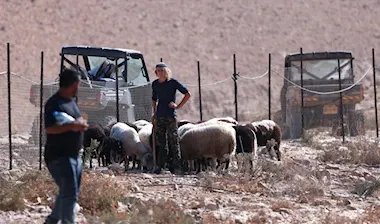 تصاعد عنف المستوطنين: هجمات ممنهجة تستهدف الفلسطينيين والصحفيين