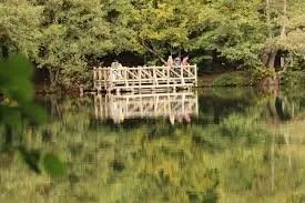 جمال الطبيعة الخريفية: إقبال كبير على "البحيرات السبع" في بولو التركية