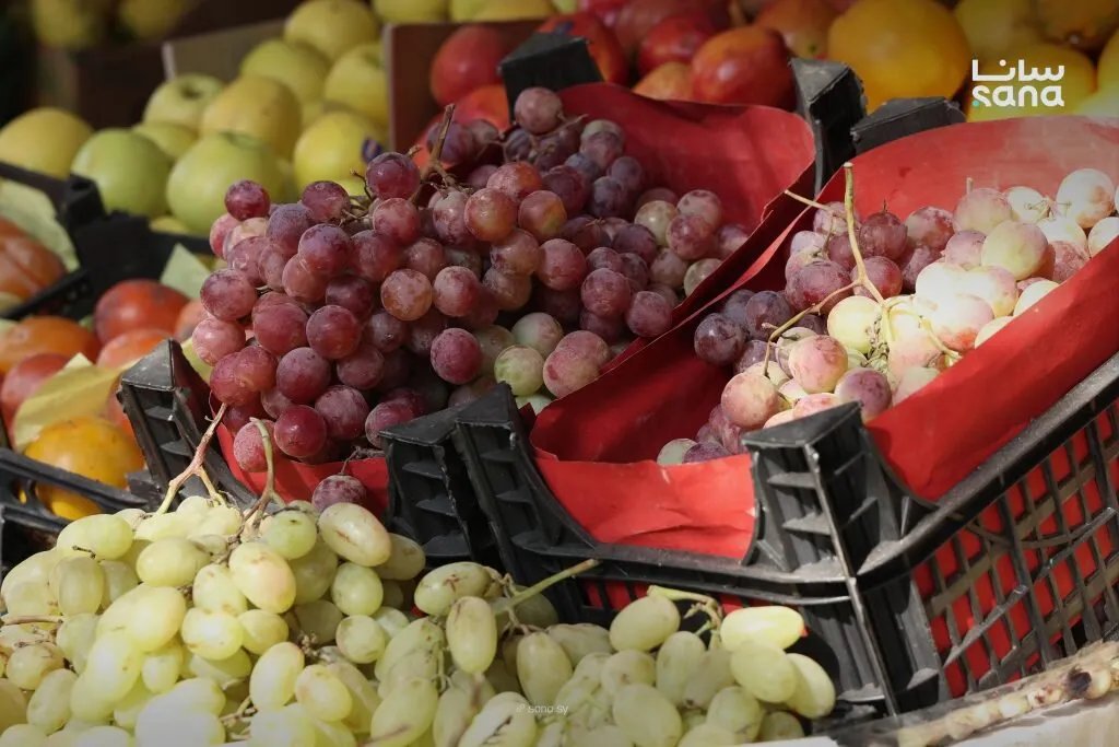 تقرير مصور: أسعار الفواكه والخضروات في سوق المزة الشيخ سعد بدمشق اليوم