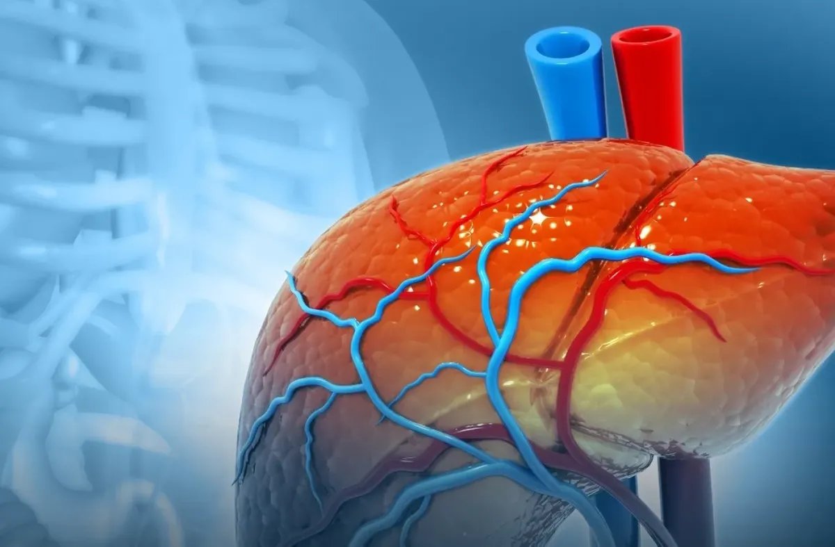 دراسة أمريكية تحذر: مادة كيميائية شائعة تزيد خطر تليف الكبد ثلاثة أضعاف!