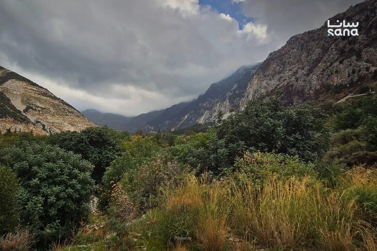 انخفاض حاد في درجات الحرارة يضرب معظم المناطق السورية مع توقعات بأمطار وعواصف رعدية