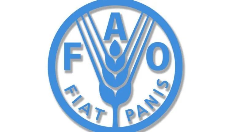 الفاو تحذر: ارتفاع جديد في أسعار الغذاء العالمية عام 2025 مدفوعاً بالبن والكاكاو