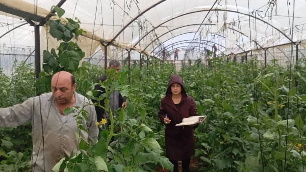 كارثة طبيعية تضرب طرطوس: "تنين بحري" يتسبب بخسائر في البيوت البلاستيكية بسهل ميعار شاكر