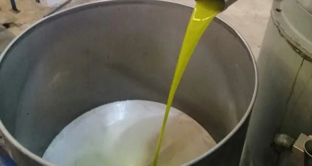 ارتفاع جنوني في أسعار زيت الزيتون بدرعا: صفيحة بـ 100 دولار.. هل يصبح الزيت حلماً بعيد المنال؟