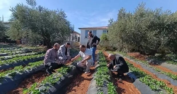 إدلب: ورشة عمل تبحث مستقبل الزراعة المحمية وتحدياتها وسبل تطويرها