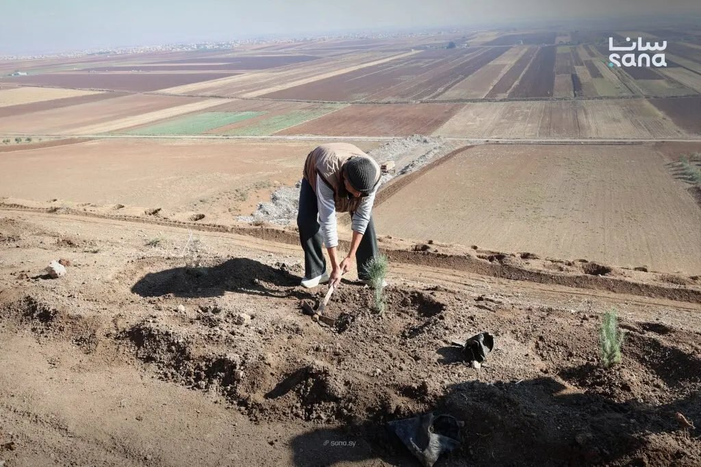 حملة تشجير واسعة في ريفي حماة الشمالي والغربي لتعزيز الغطاء النباتي