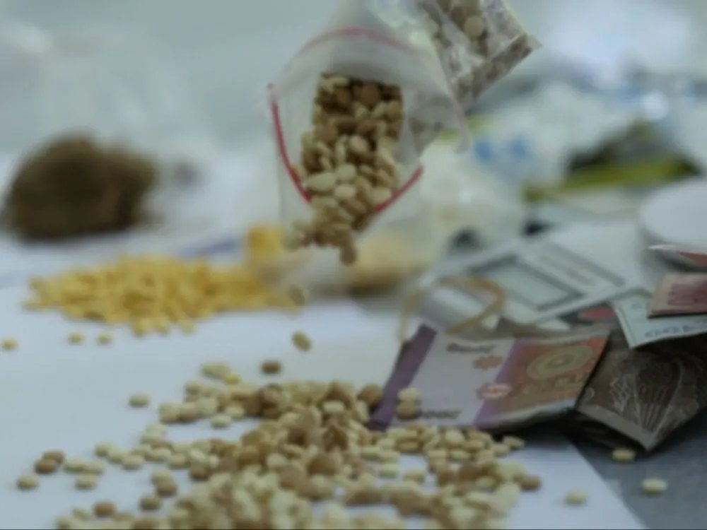 ضربات أمنية متلاحقة ضد مروجي المخدرات في إدلب ودرعا وريف دمشق