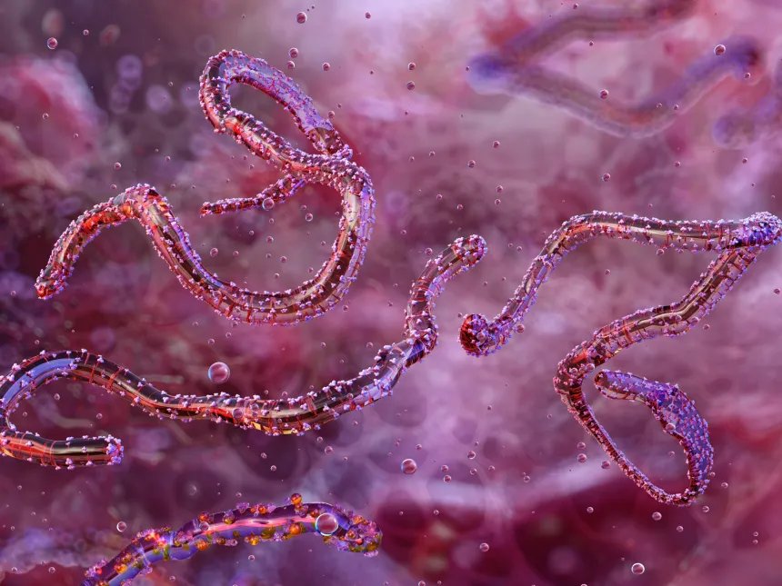 تفشي وباء ماربورغ في جنوب إثيوبيا: السلطات الصحية تؤكد خطورة الوضع