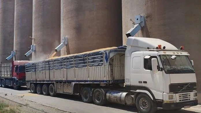 وصول خمس سفن قمح ضخمة إلى اللاذقية وطرطوس لتعزيز الأمن الغذائي