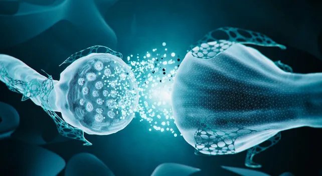 اكتشاف آلية جديدة لفقدان الذاكرة الاجتماعية لدى مرضى ألزهايمر: اختراق واعد للعلاج