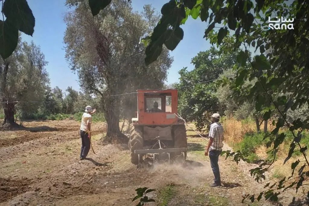 دمشق وريفها: تشديد الرقابة وضبط 77 مخالفة لاستخدام مياه الصرف الصحي في ري الأراضي الزراعية